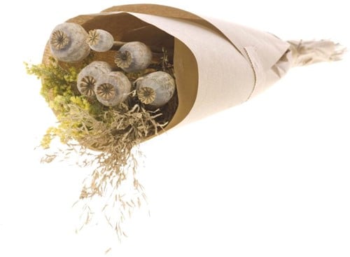 Droogbloemenboeket Papaver in Craft Paper Natural geschikt om zelf Creatief te Verwerken
