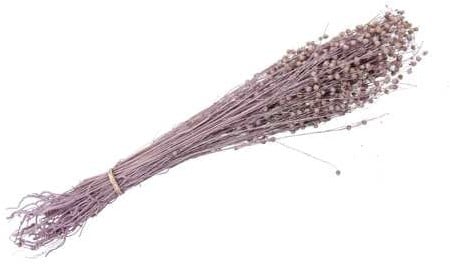 Lino Grass Vlas Linum Droogbloem Bundel Pink 100 gram