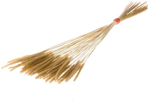 Soft Worms Grass alternatief voor Lagurus Naturel