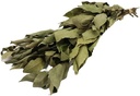 Laurier Laurierblad Groen Droogbloemen 80 cm