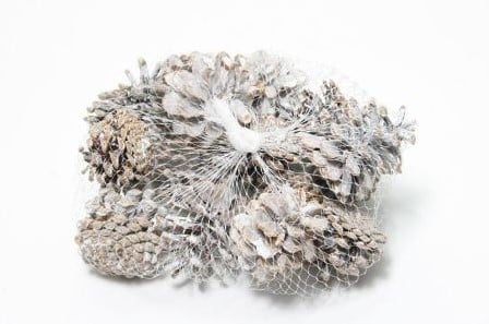 Dennenappels Oostenrijkers Blue Pine Frosted 15 stuks