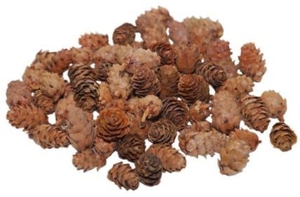 Omorica cone kleine dennenappeltjes Naturel Pinecone Baby Spruce 2–3 cm 150 gram