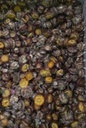 Bulk Helichrysum strobloemhoofdjes Rood ca. 1680 stuks eenmalig