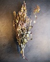 Bosje Eucalyptus gedroogd DHZ zonder accessoires