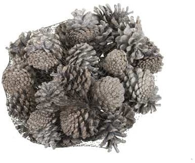 Dennenappel Oostenrijkers White Tip 1 kilo
