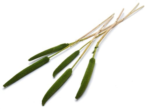 Babala Groen 10pc 65-70 Bundel droogbloemen vaste pluimen