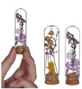 Mini Dome stolpjes gevuld met droogbloemen Ø2 h.7 cm set 6