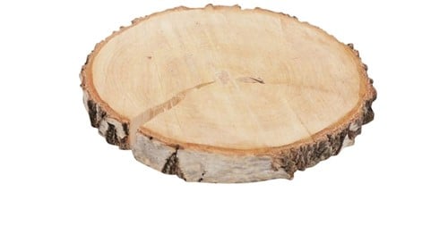 Boomstamschijf Berkenschijf rond ca. 23-26 cm