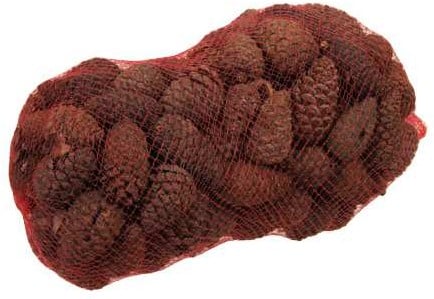 Dennenappel Dicht Pinecone closed Mix 1 kg