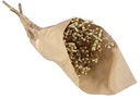 Eucalyptusfruit op Tak Goud 55cm