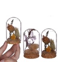 Mini Dome stolpjes gevuld met droogbloemen Ø4 h.6 cm set 4