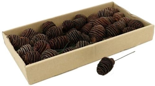 Platyspernum op draad Naturel doos 40 stuks