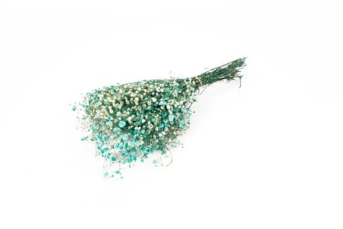 Geprepareerd Gepreserveerd Gipskruid Aquamarijn Turquoise 60 cm 55 gr