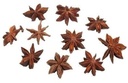 Steranijs specerij 500 gram