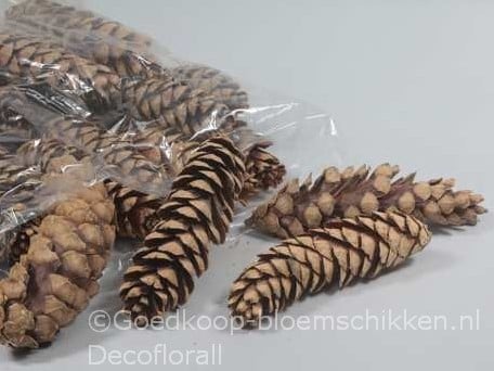 Dennenappel STROBUS Grote dennenappel Naturel 20-25cm Per Stuk