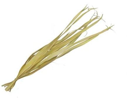 Palmblad Geel 80-95 cm ca. 10 stuks
