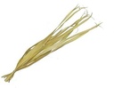 Palmblad Geel 80-95 cm ca. 10 stuks