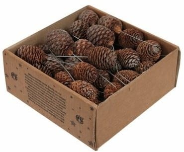 Platyspernum op draad Naturel doos 25 stuks