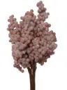 Berrie besjes foam Lichtroze Ice bundel 10 stuks