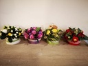 Oasis® Tafeldecoratie met wol Rond Medi Groen pak 4 stuks