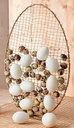 Metalen Frame Ei ring Goud op voet 24x35 cm