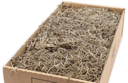Tillandsia Junglemos Spaansmos Forestmos Naturel 200–350 gram