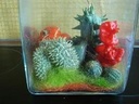 Wooly Decotwister Fluf Fuchsia 500 gram zak