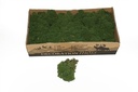 Rendiermos IJslandsmos Finlandsmos Mosgroen 2700–3000 gram