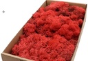 Rendiermos IJslandsmos Finlandsmos Rood 500 gram