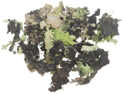 Korstmos Musgo Groenwashed 250 gram
