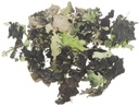 Korstmos Musgo Groenwashed 250 gram