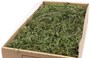 Tillandsia Spaansmos Forestmos Mosgroen 300–350 gram gepreserveerd