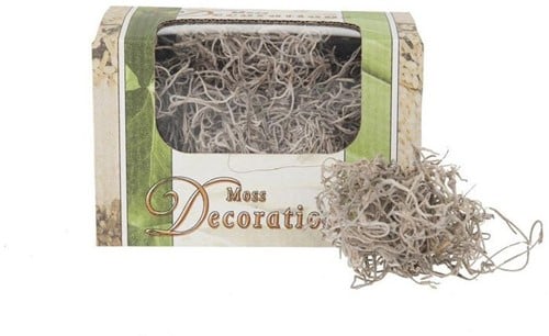 Tillandsia Junglemos Spaansmos Forestmos Naturel 50 gram