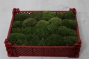 Bolmos Bolletjes Mos Gedroogd