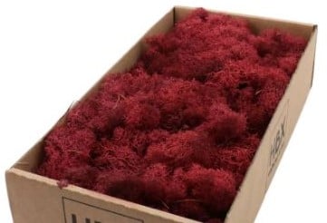 Rendiermos IJslandsmos Finlandsmos Bordeaux 500 gram