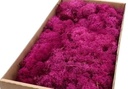 Rendiermos IJslandsmos Finlandsmos Fuchsia 500 gram