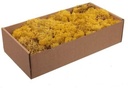 Rendiermos IJslandsmos Finlandsmos Okergeel 500 gram