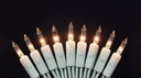Kerstverlichting Binnen 50 lampjes Wit helder