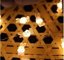 LED Lampjes Konijntjes 20 lampjes 2 meter excl batterijen