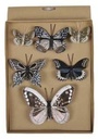 Vlinders Mengsel Assorti 6 stuks met clip