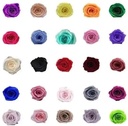 Geconserveerde rozen Geprepareerd Sky Blauw doos 8 stuks