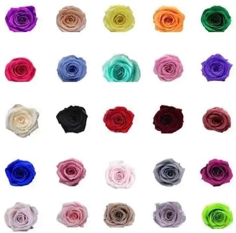 Geconserveerde rozen Geprepareerd Zwart doos 8 stuks