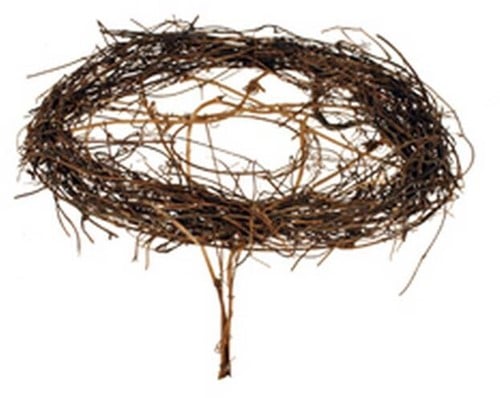 Boekethouder conisch Salim Meulenbeckia rond 20 cm