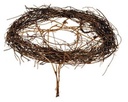 Boekethouder conisch Salim Meulenbeckia rond 20 cm