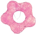 Boekethouder Sisal Bloemvorm Roze 15 cm