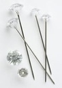 Oasis® Diamantspelden Clear 5 mm doosje