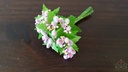 Besjes blad meeldraden Frosted Roze bundel 10 stuks