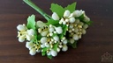 Besjes blad meeldraden Frosted Roomwit bundel 10 stuks