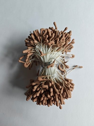 Meeldraad Meeldraden Macaron caffee 2 mm 420 stuks PAK voor zelfgemaakte bloemen