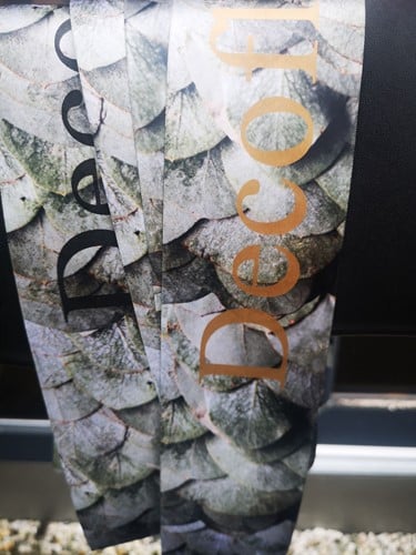 Bedrukt lint Greenleaf Eucalyptus met Mat Gouden opdruk 70 mm 80 cm